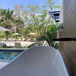 Plunge Pool Suite.010