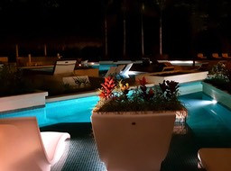Swim-Up Suite.001