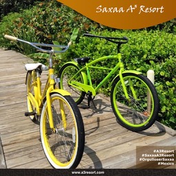 Fotos y poster _ Saxaa A3 Resort_Fotor60