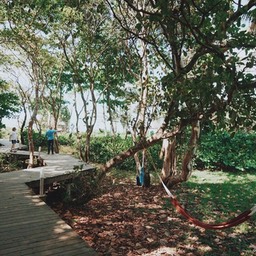 huespedes_saxaa_a3_resort_513_Fotor6