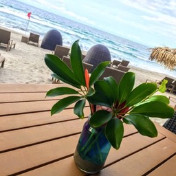 huespedes_saxaa_a3_resort_582_Fotor3