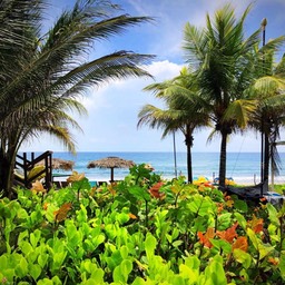 huespedes_saxaa_a3_resort_570_Fotor