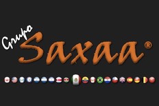 Logos Grupo Saxaa_banderas_3