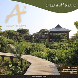Posters saxaa a3 resort_19_Fotor4