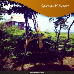 Posters saxaa a3 resort_20_Fotor57