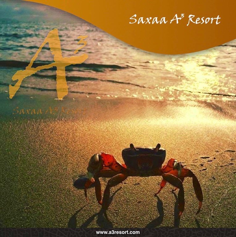 Posters saxaa a3 resort_20_Fotor56