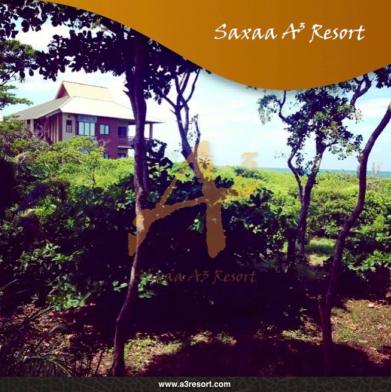 Posters saxaa a3 resort_20_Fotor57