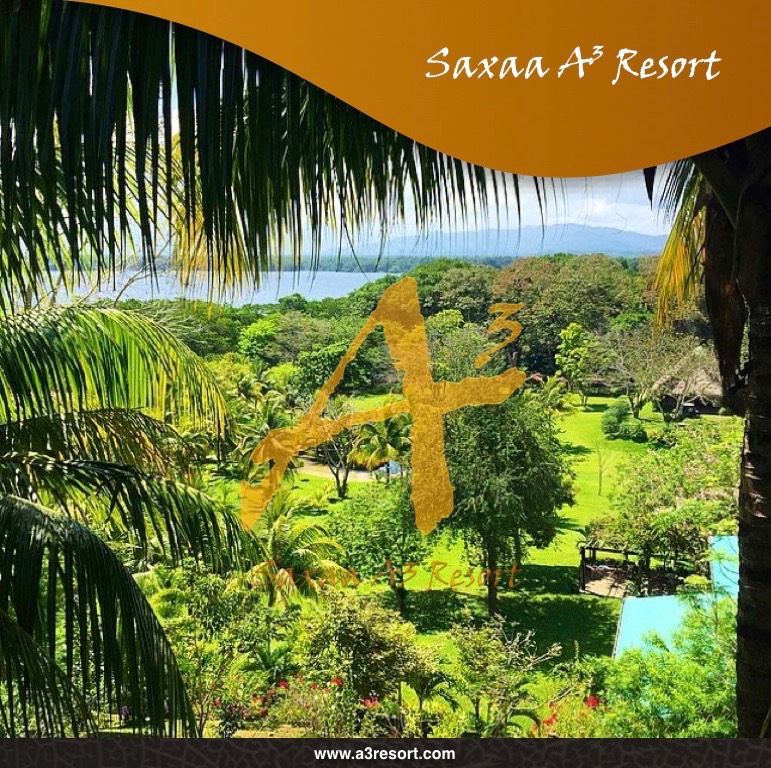 Posters saxaa a3 resort_20_Fotor16