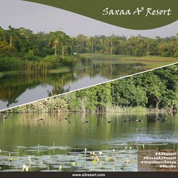 Posters saxaa a3 resort_23_Fotor6