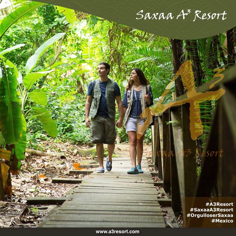 Posters saxaa a3 resort_24_Fotor