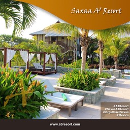 Posters saxaa a3 resort_26_Fotor6