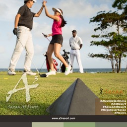 Posters saxaa a3 resort_2_Fotor15