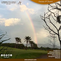 Posters_saxaa_a3_resort_63_Fotor7