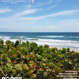 Posters_saxaa_a3_resort_72_Fotor3