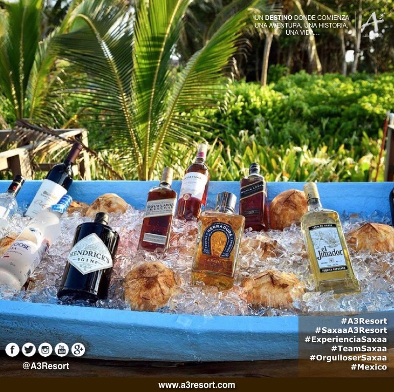 Posters_saxaa_a3_resort_80_Fotor8